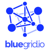 Blue Grid d.o.o. logo