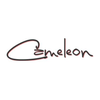 Cameleon d.o.o. logo