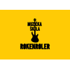 Muzička škola Rokenroler PR Branislav Ostojić logo